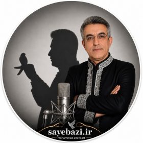 محمد امینی